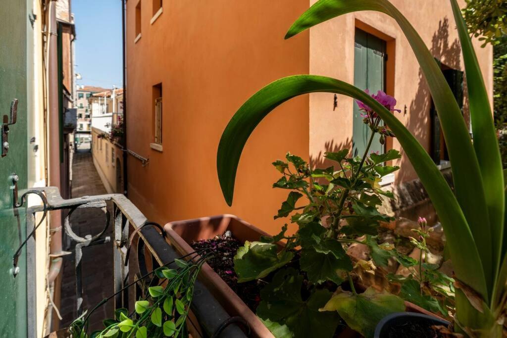 Apartament Ca' Mandorla 027042Loc09523 Wenecja Zewnętrze zdjęcie